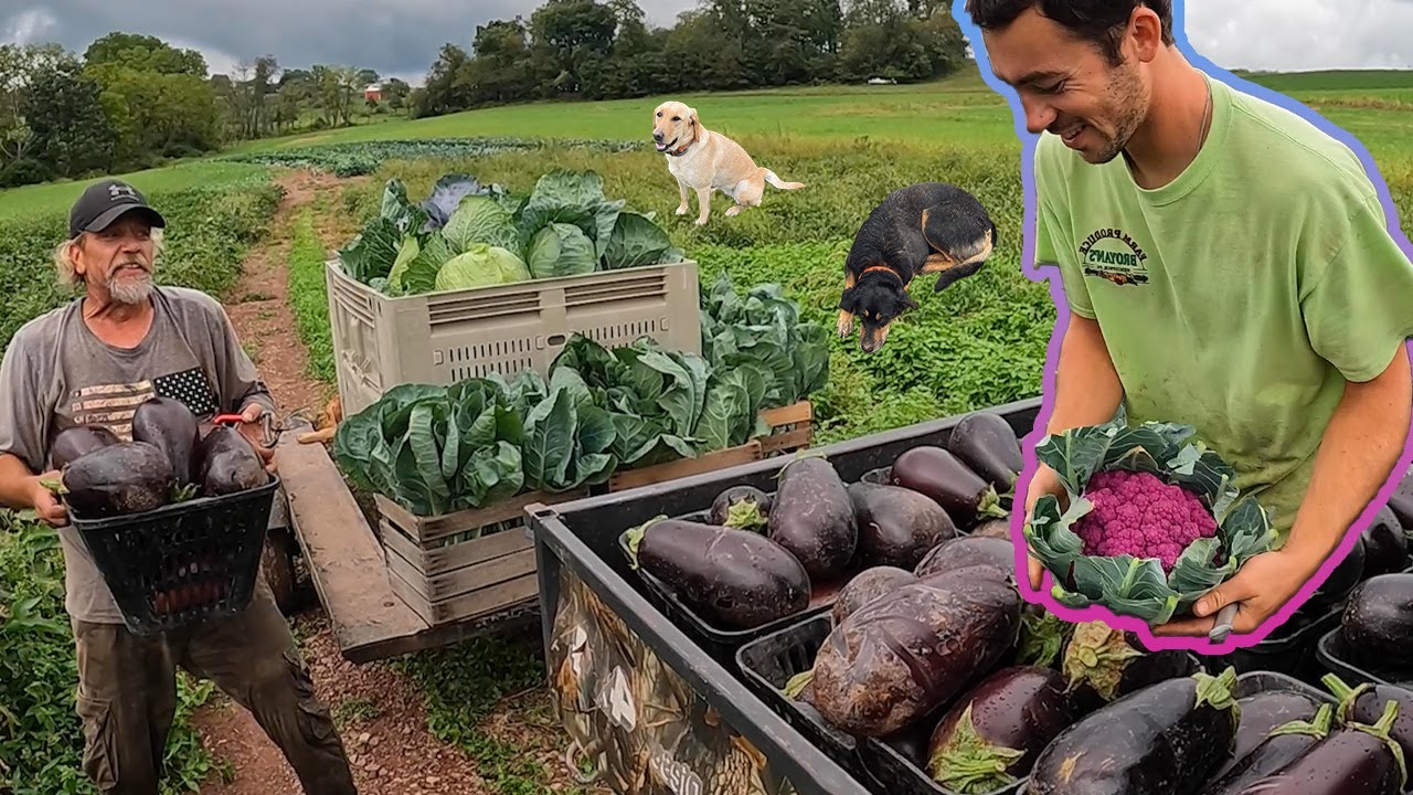 A One Of A Kind Harvest!
