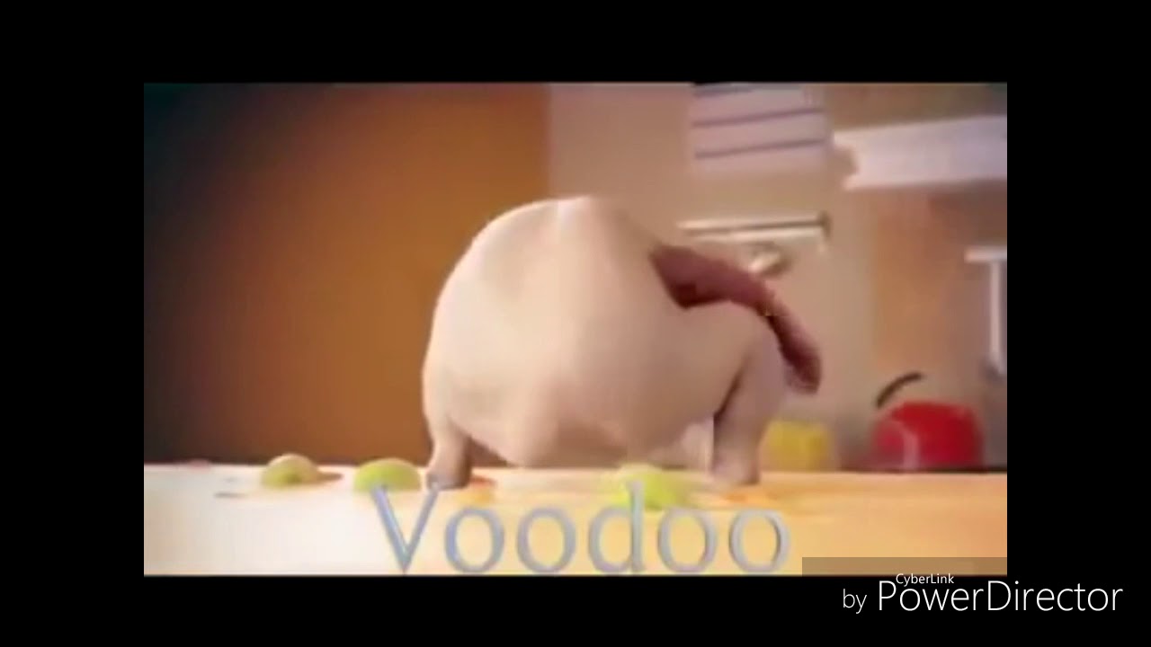 Mișcați buca buca buca 😂😂😂😂😂