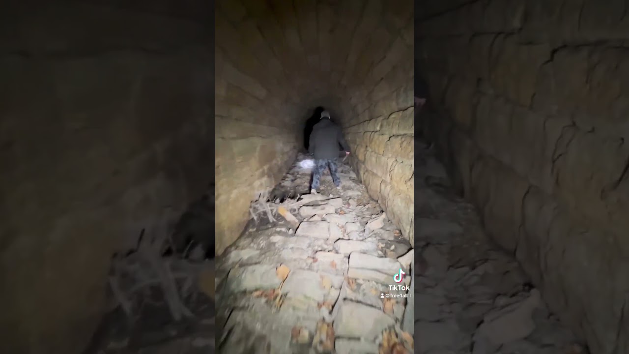 Exploring the Cryptid Tunnel in Mankato, MN! 😳 #shorts