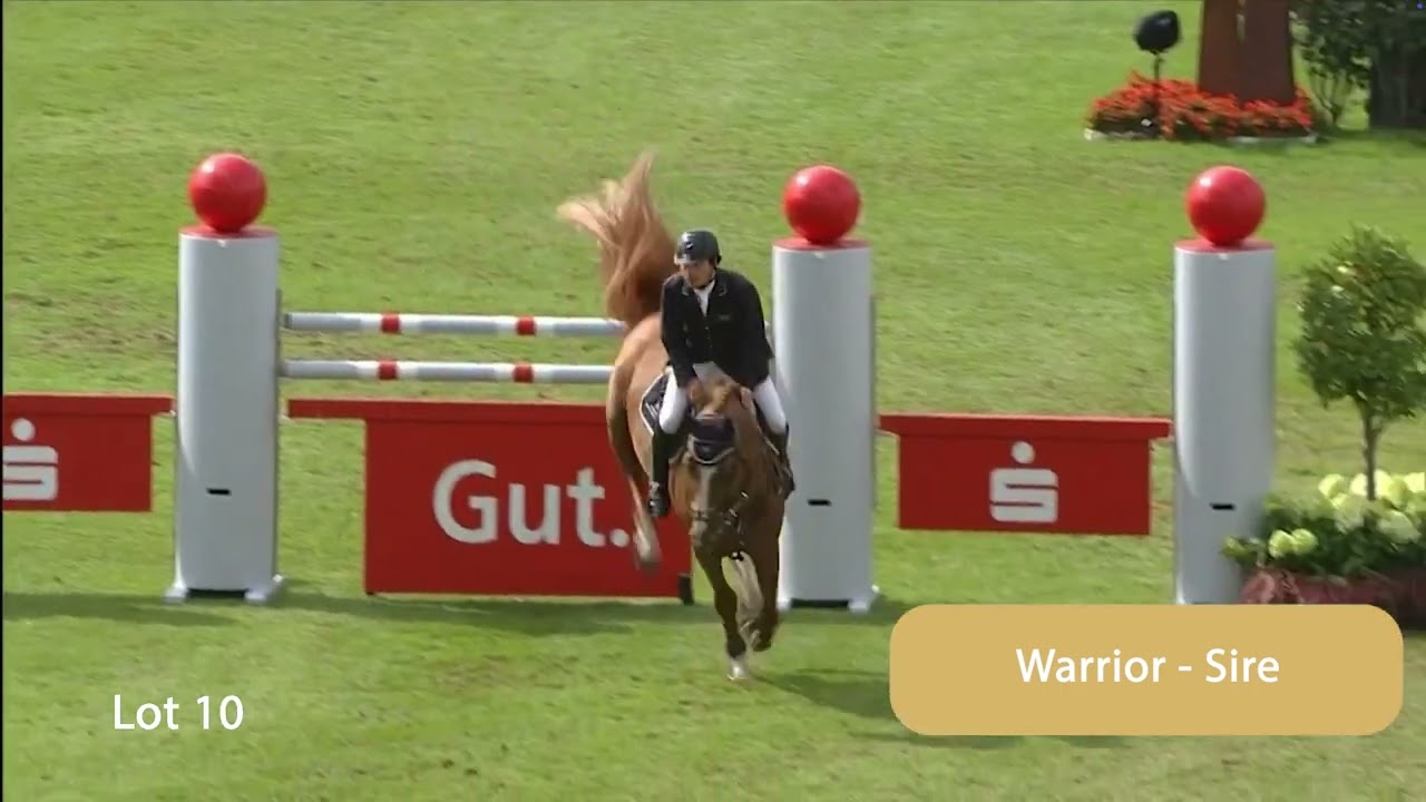 Lot 10 - Klent Carry On - Bolesworth Elite Auction 2025