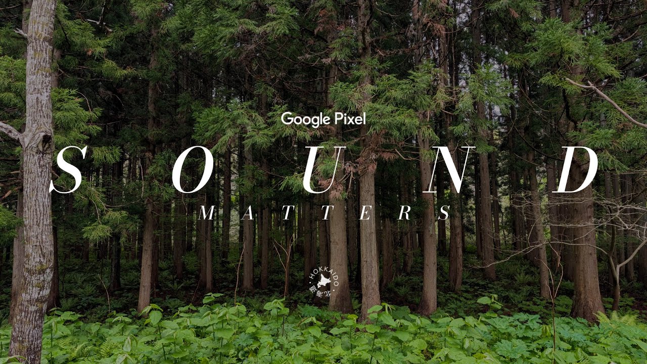 Pixel Sound Matters: Wild Hokkaido