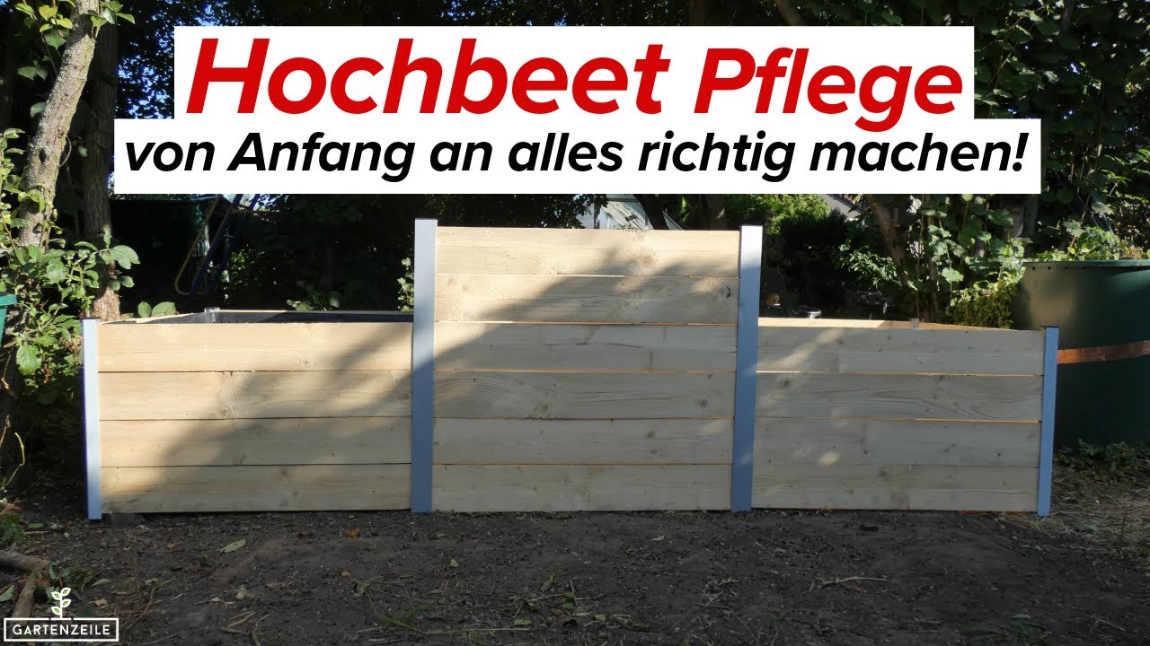 Hochbeet richtig pflegen &ndash; diese Fehler machen fast alle Anf&auml;nger!