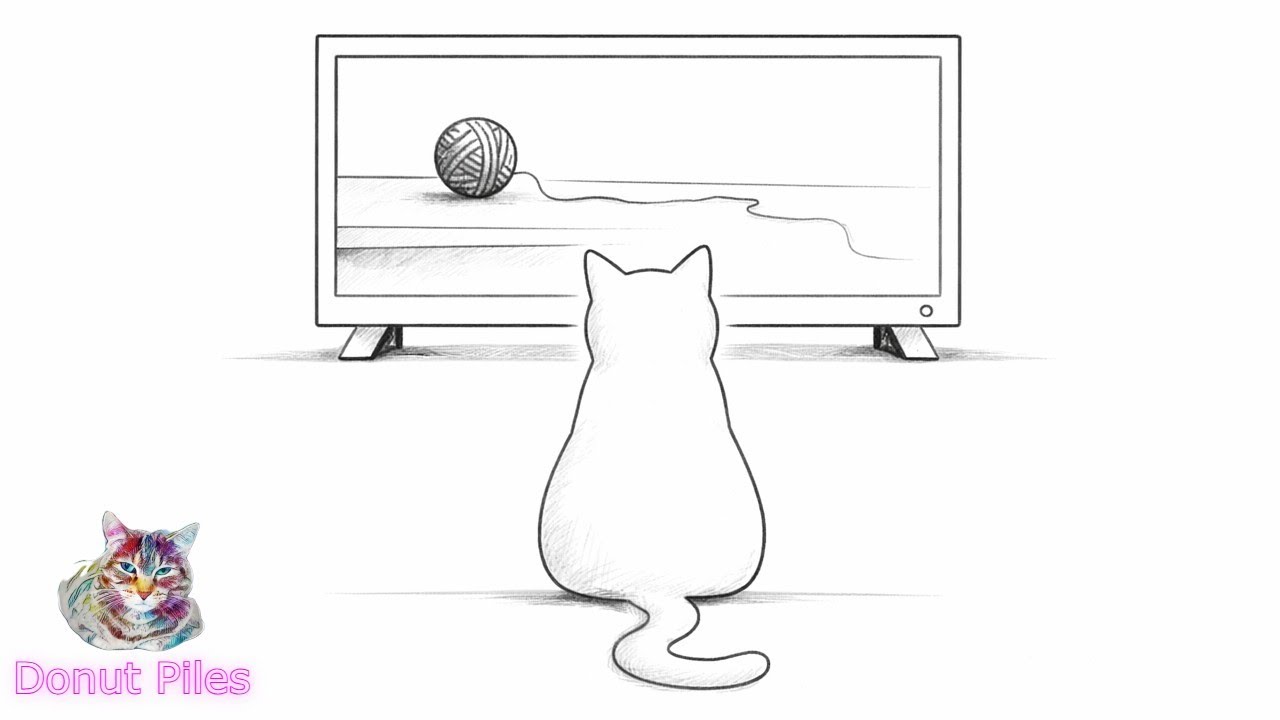 Cat TV for Cats to Watch - 4K
