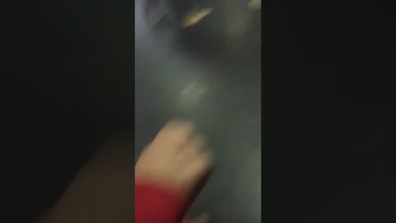 Уличный бой👊🏻