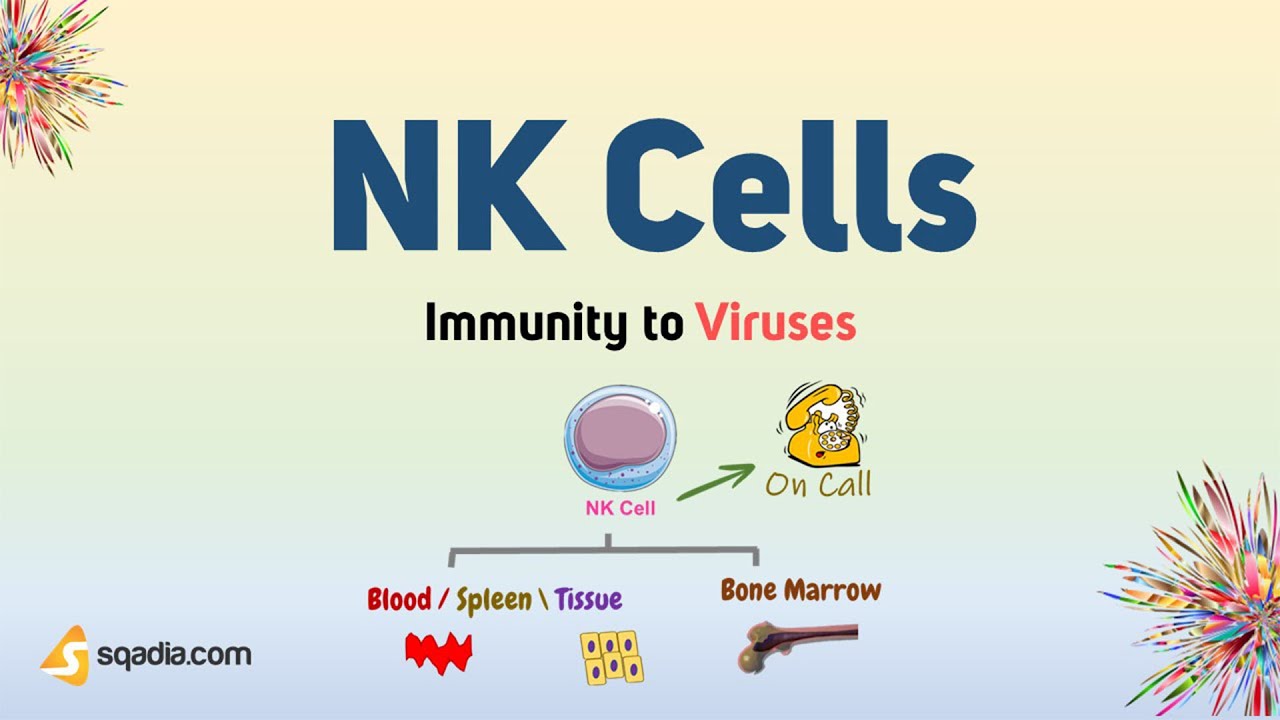 Immunity to Viruses - NK Cells