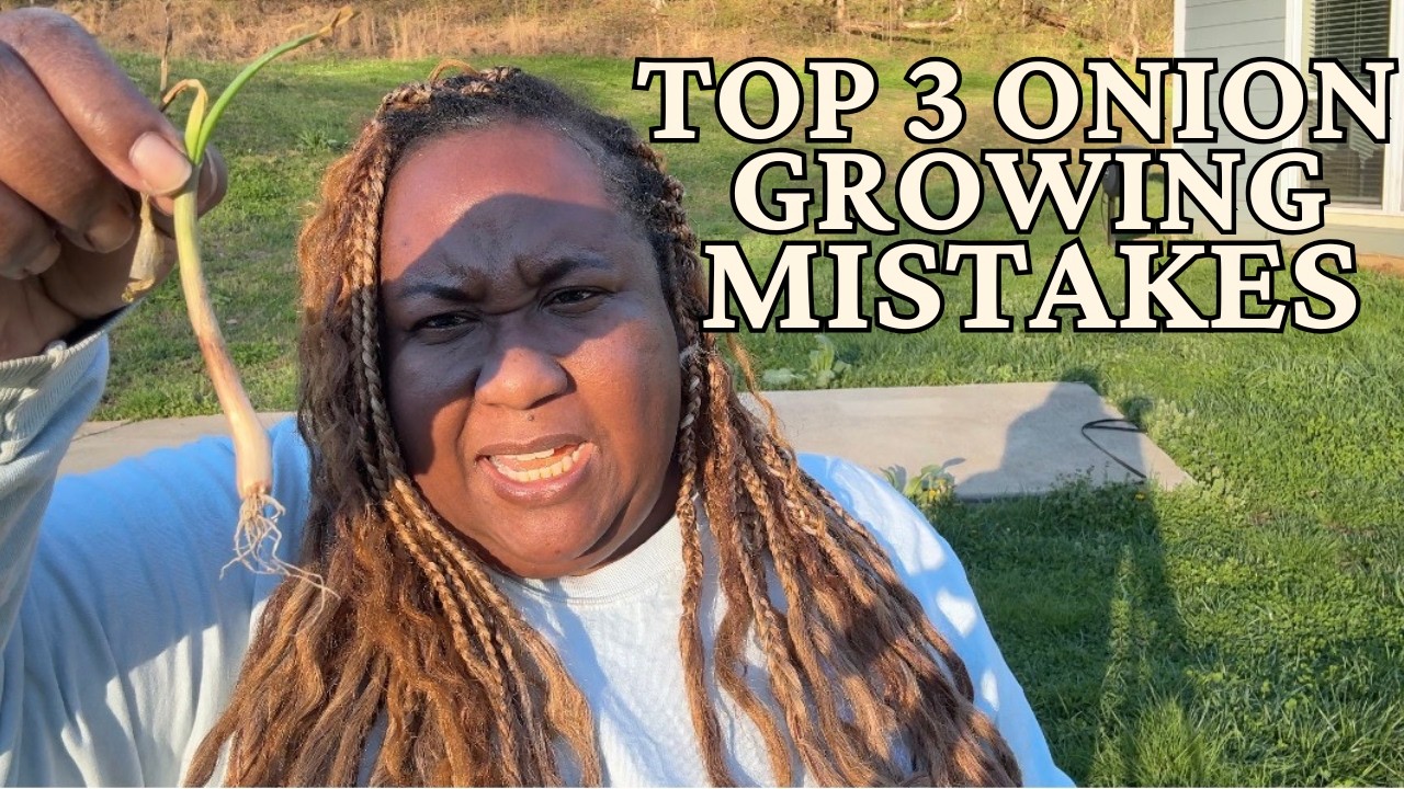 The Top 3 Onion Growing Mistakes| How to Grow BIG onions!
