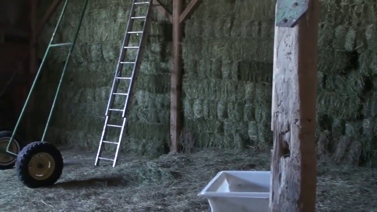 Stacking Small Square Grass Hay Bales into the Barn