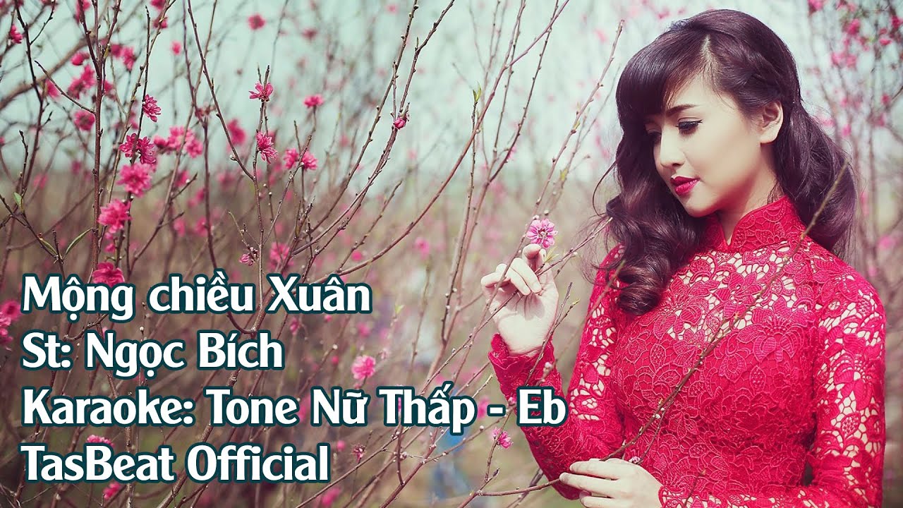 Karaoke Mộng Chiều Xuân - Tone Nữ Thấp | TAS BEAT