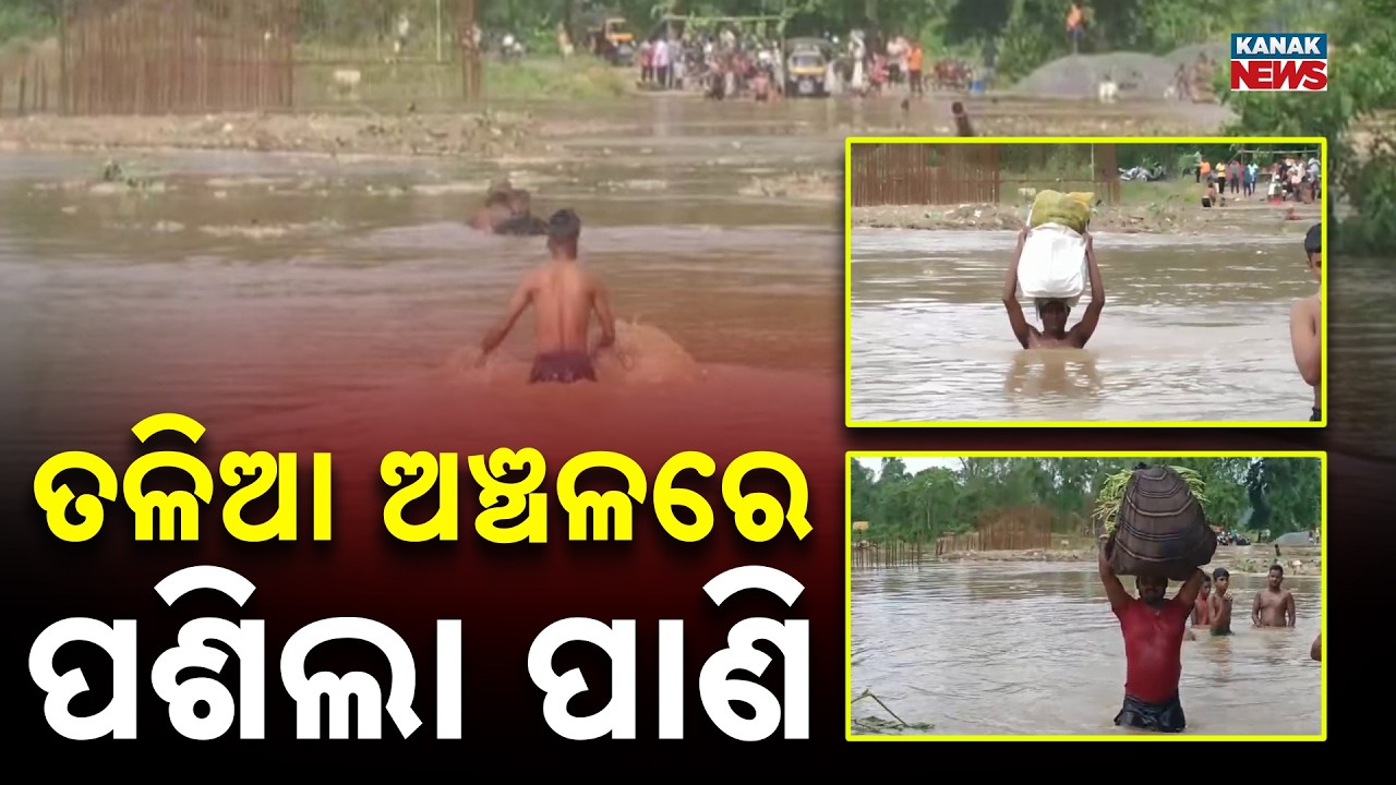 Banki Tigiria Flood Update | Mahanadi Water Enters Villages Amid Moderate Flood
