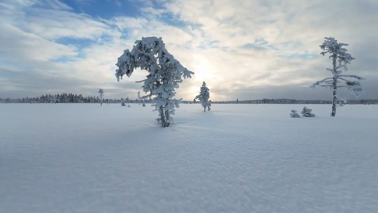 Above the Arctic Snow, Sweden🇸🇪
