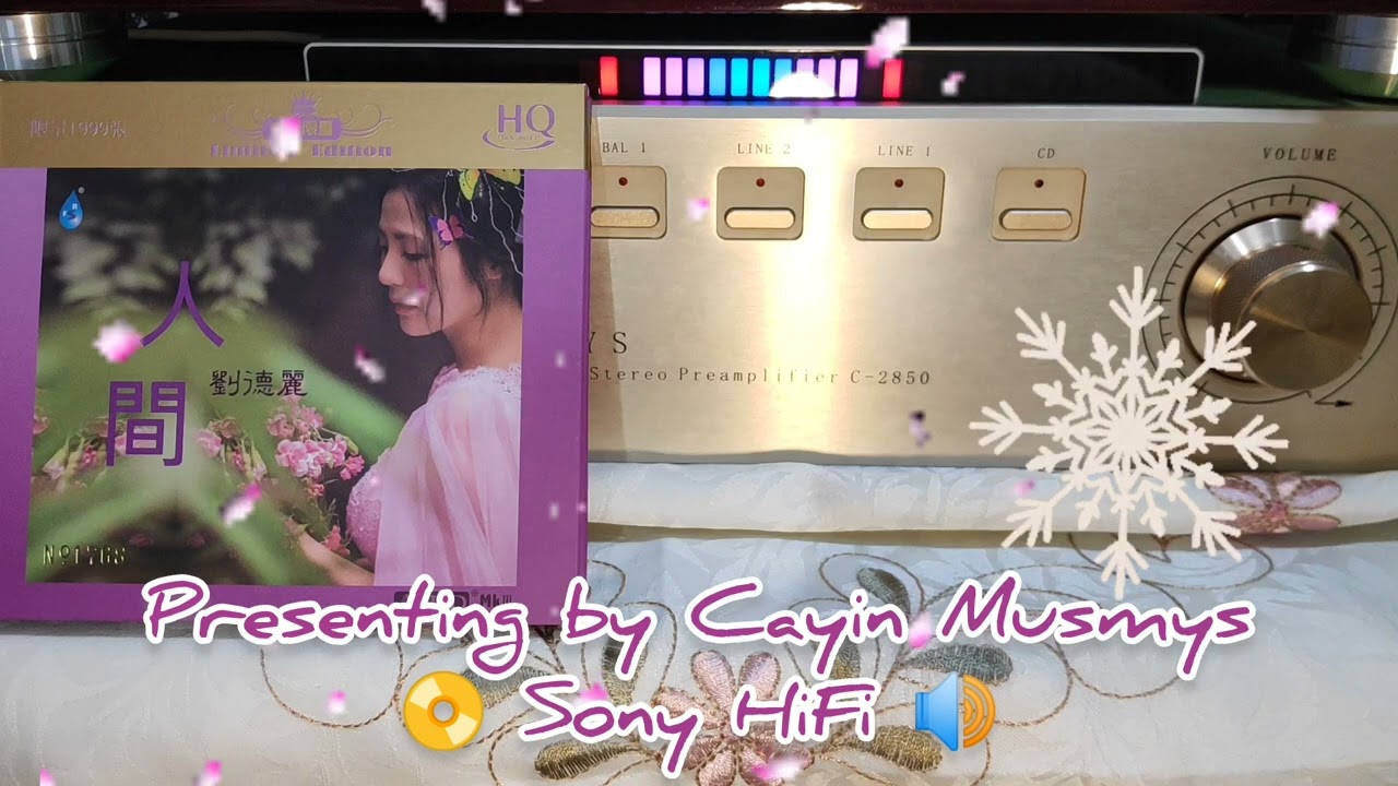 劉德麗💞流浪花📀Hi-Res Recorded By Cayin Musmys Sony HiFi 🔊