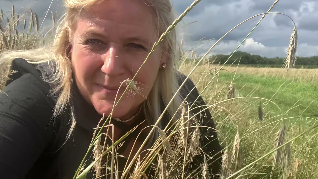 Dwingeloo en zo