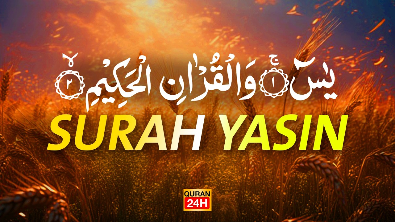 Surah Yaseen Surah Ar Rahman | Best Qur'an Recitation | Surah Yasin full | With Arabic text