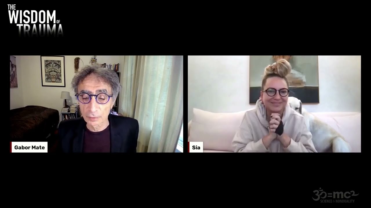 Sia - Sensitivity, Creativity and Pain in a Traumatizing Culture (Full conversation)