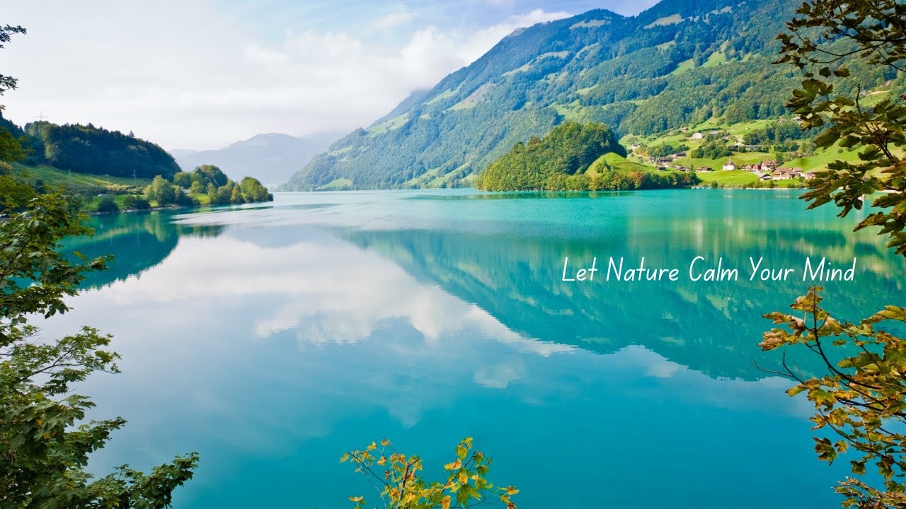 Relájate • Respira • Disfruta de la naturaleza