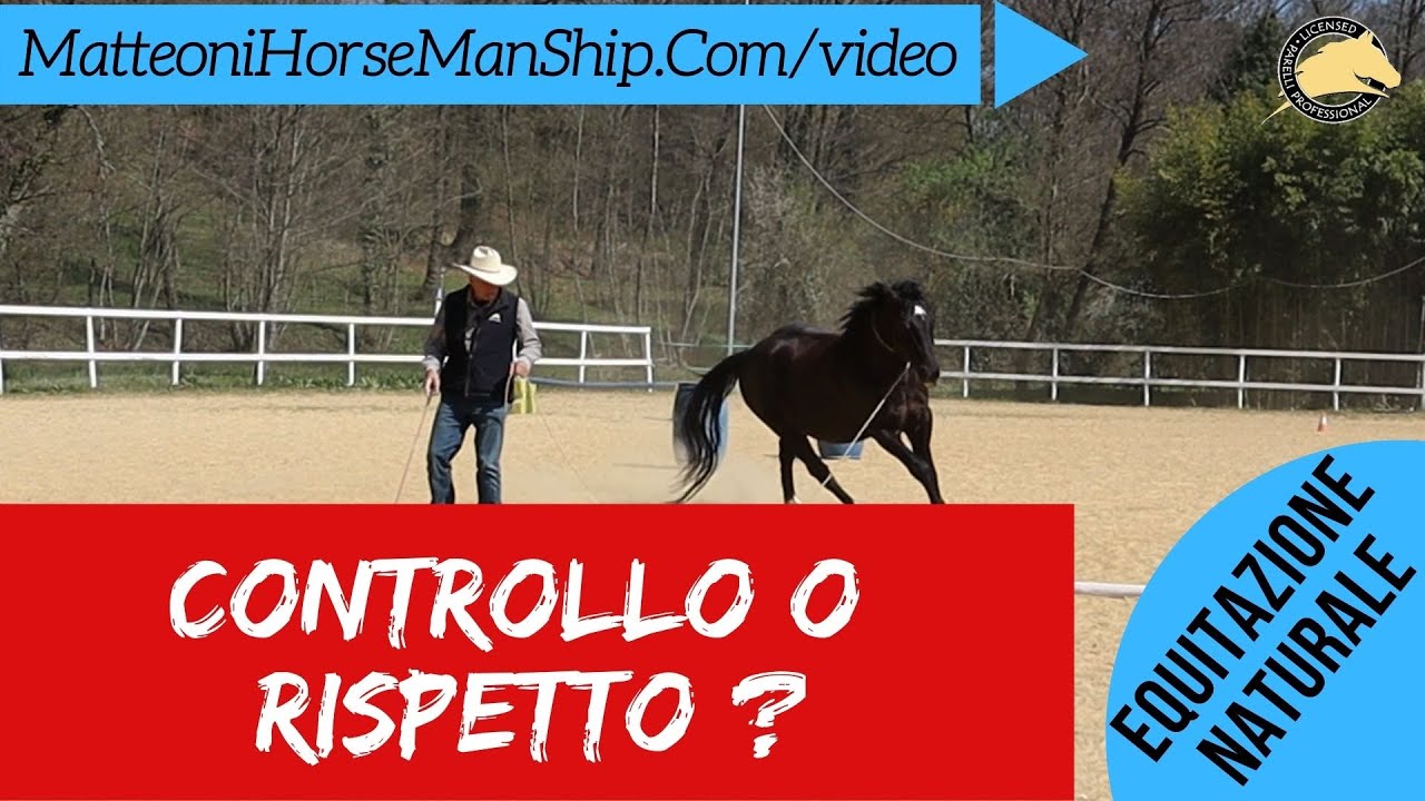 Controllo o rispetto ?