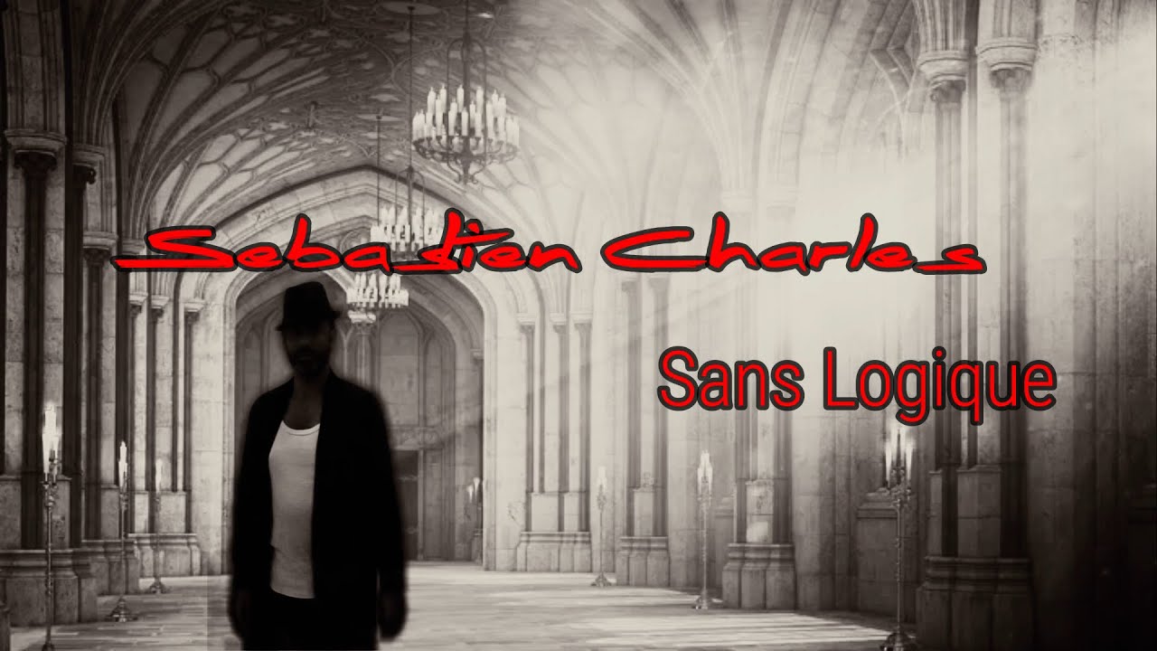 Sébastien Charles   Sans Logique