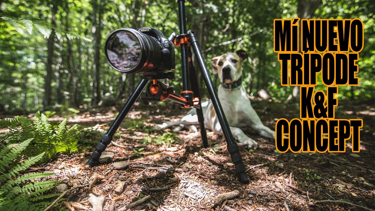REVIEW TRÍPODE K&F CONCEPT // MÍ NUEVO TRÍPODE [K&F Concept SA254T1]