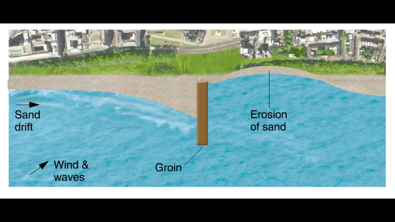 Shores & Coastal Processes: Groins