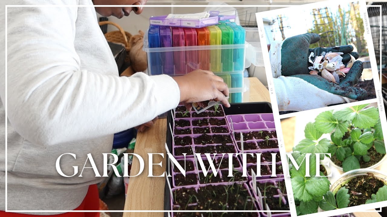 Starting More Seeds, Planting Garlic & Buying Dahlias and Lots of Strawberries | GARDEN WITH ME