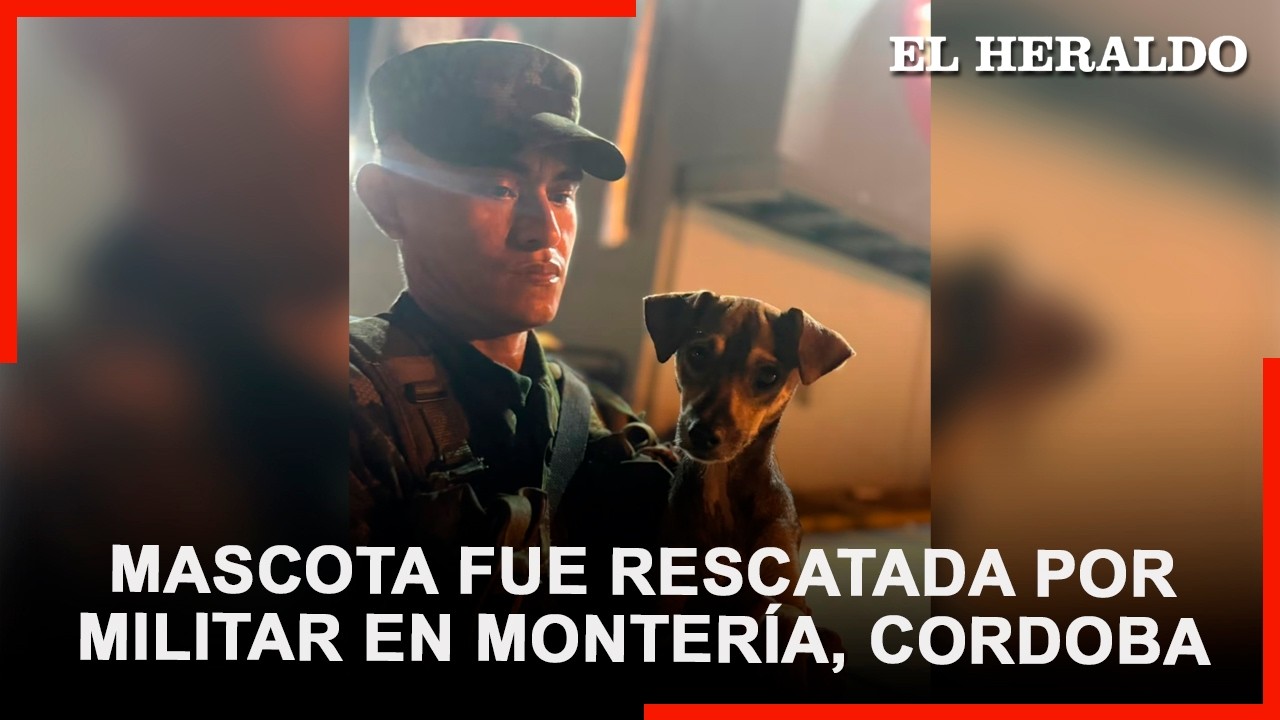 soldado del Ejército rescató a mascota en medio de las inundaciones en Montería, Córdoba