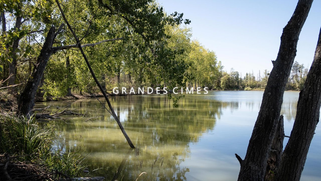 On pêche la carpe à GRANDES CIMES ( L'aube )