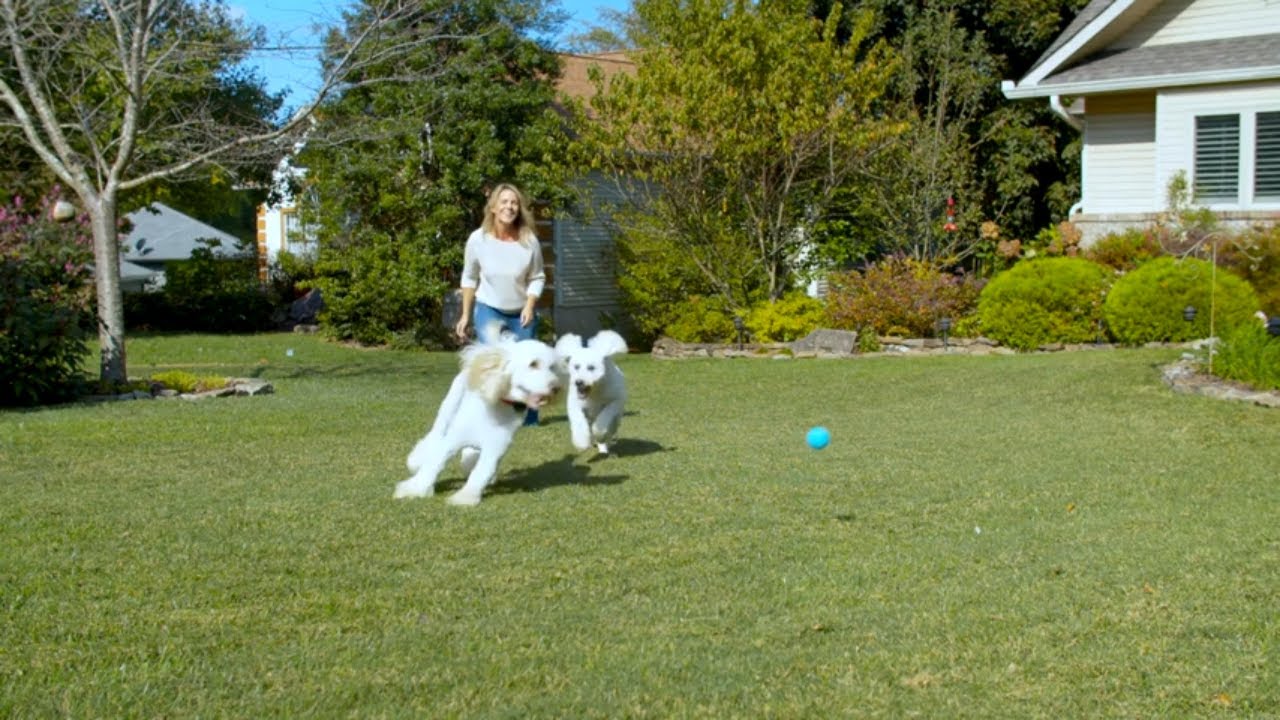 Plan Your Yard Layout with the Pet Fence Planner