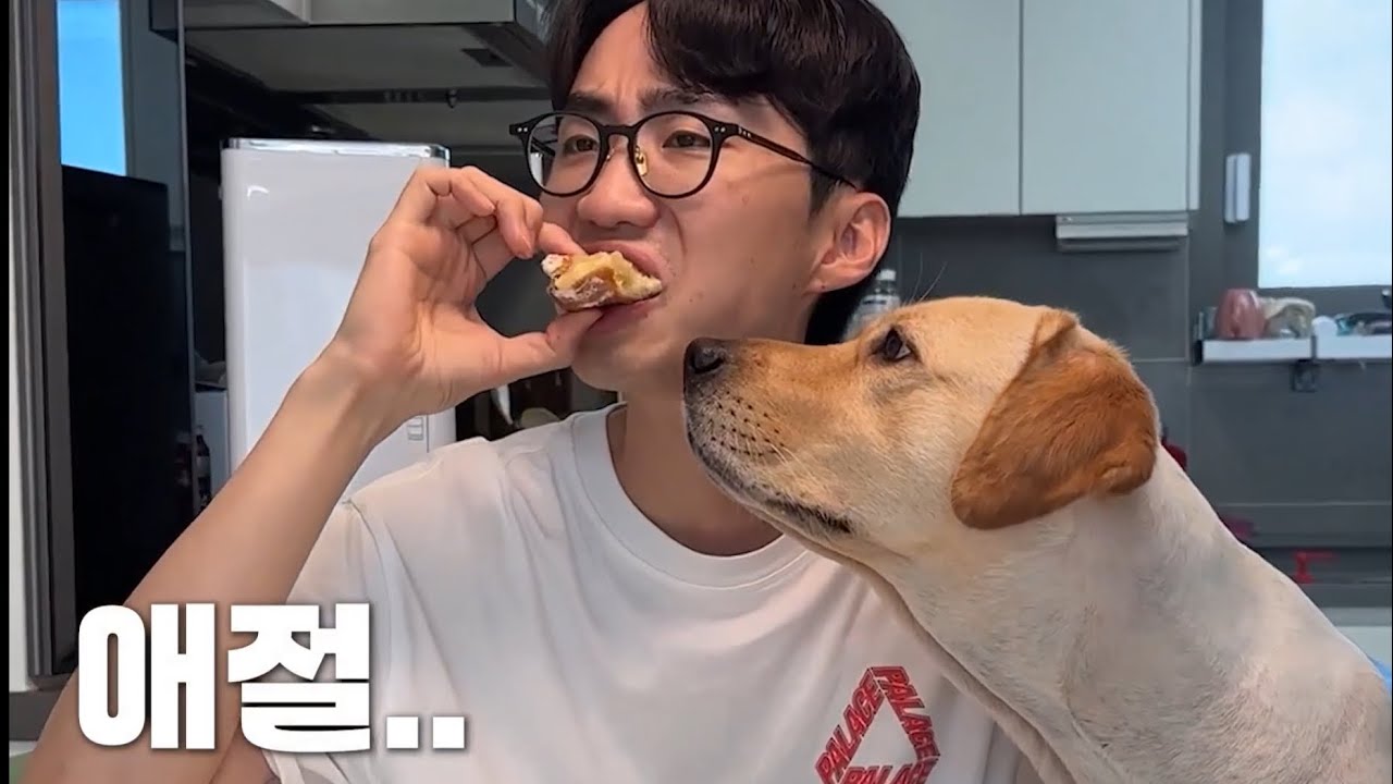 이다다, 아빠가 널 아무리 사랑한다고 해도 이건 안돼