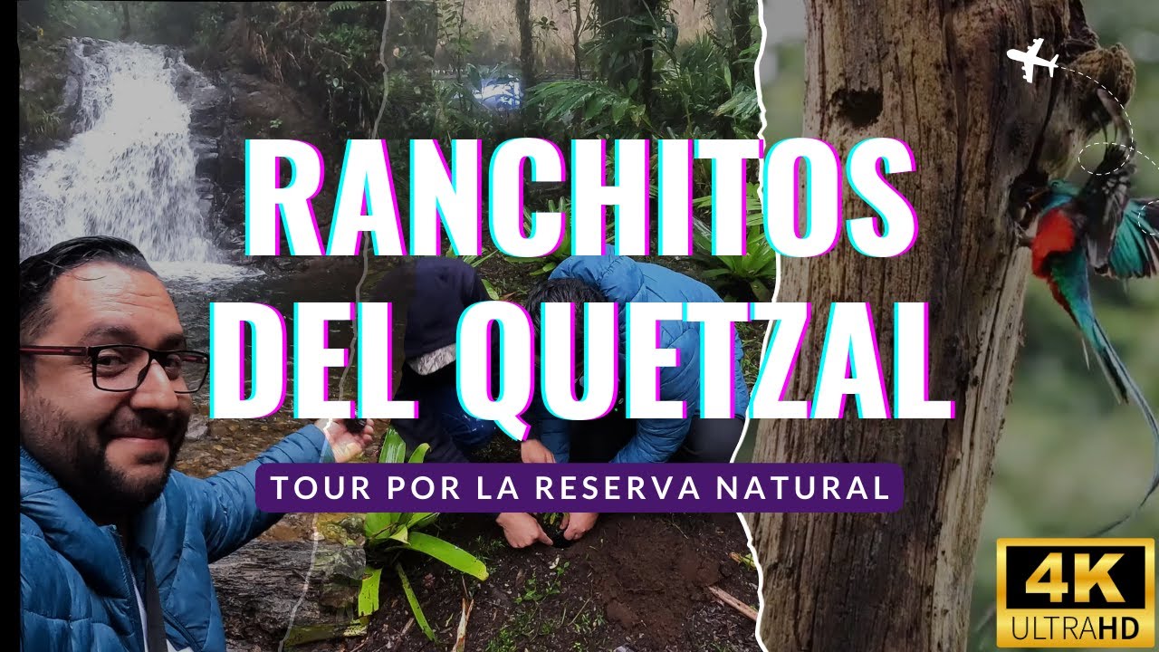 Por poco ME PIERDO EN EL BOSQUE buscando al Querzal | Viajando por Guatemala