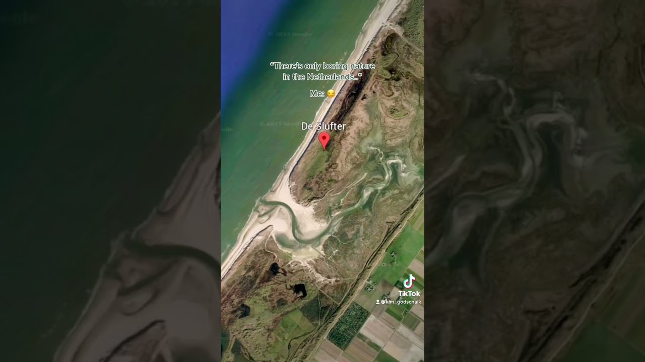Have you ever been to Texel? 🌊 #texel #netherlands #naturelovers #beach #travel #shortsvideo