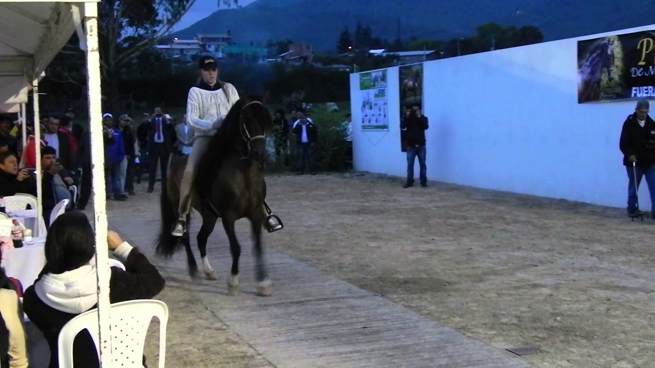 PRODIGIO DE MARIA ROSA - Fiesta del fuera de Concurso