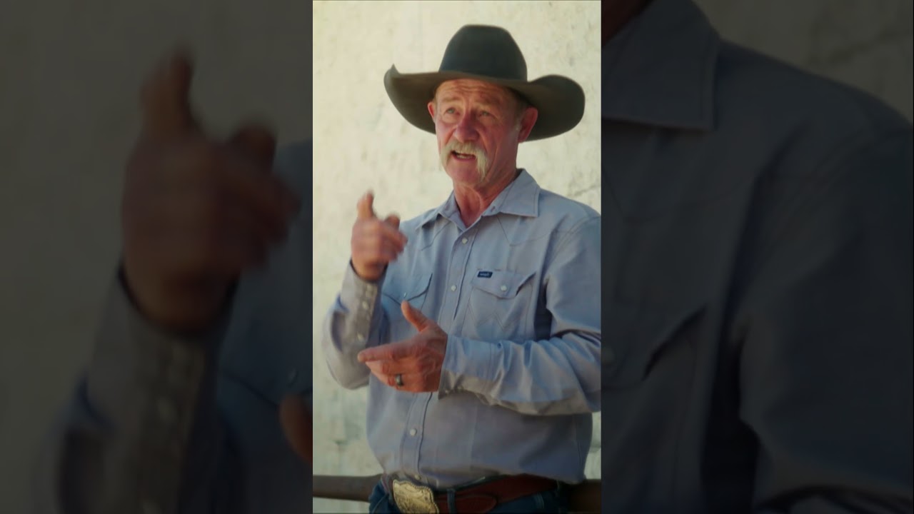 Как клеймить скот