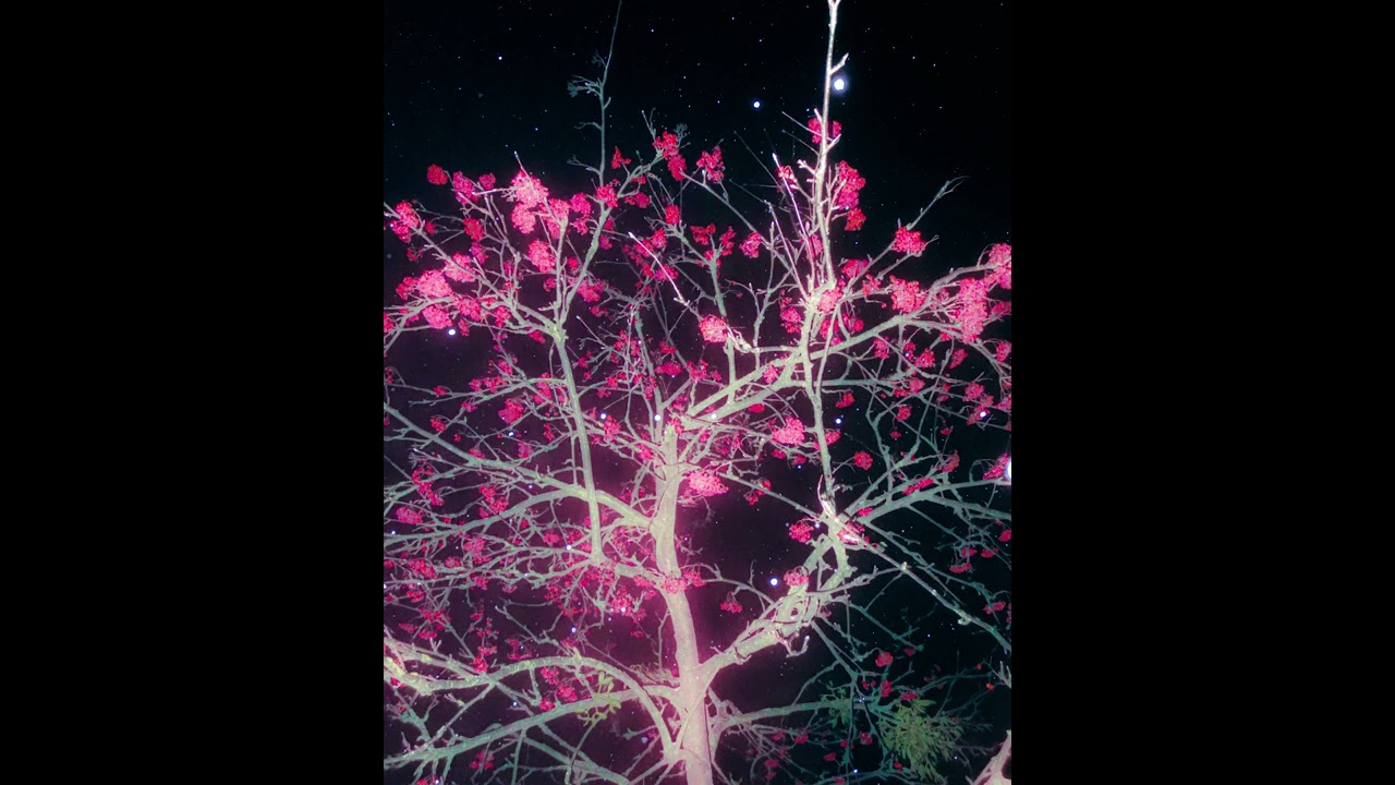 (FREE) summrs x autumn x pluggnb type beat 