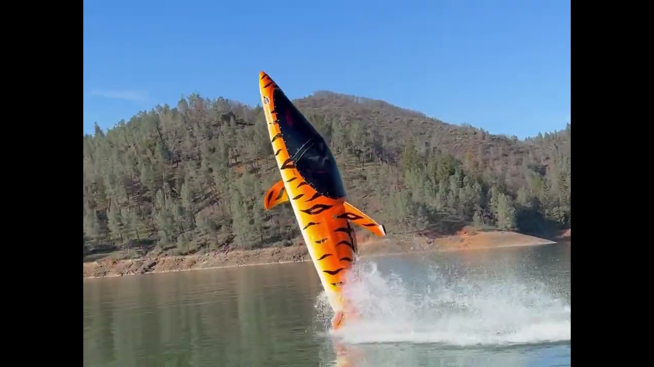 Tiger shark Seabreacher Z model 
