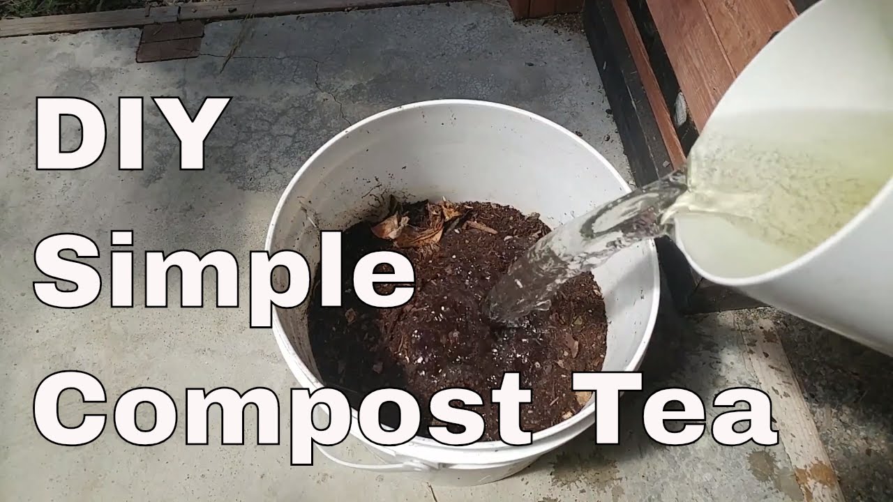 Make Your Own SIMPLE Compost Tea