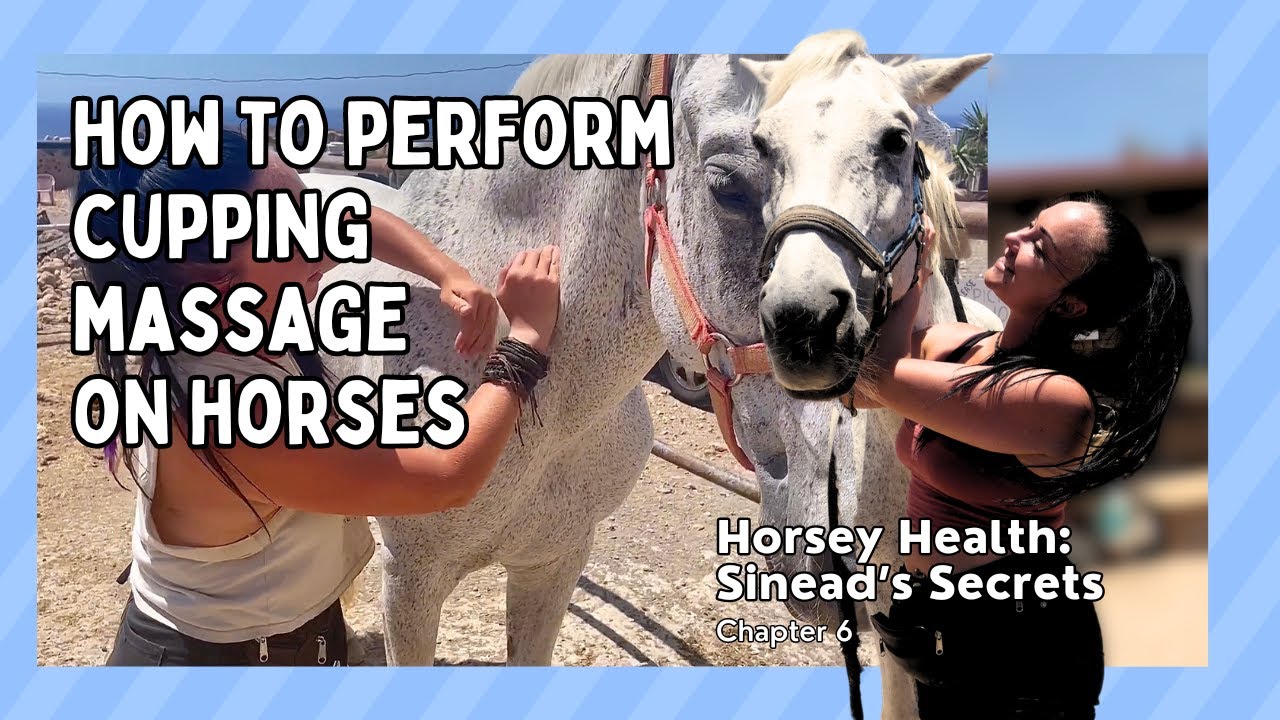 Horsey Health - Sinead's Secrets | Ch. 6 - How To Perform Cupping Massage On Horses