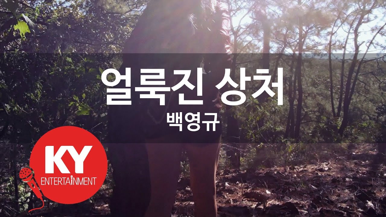 [KY ENTERTAINMENT] 얼룩진 상처 - 백영규 (KY.3180) / KY Karaoke