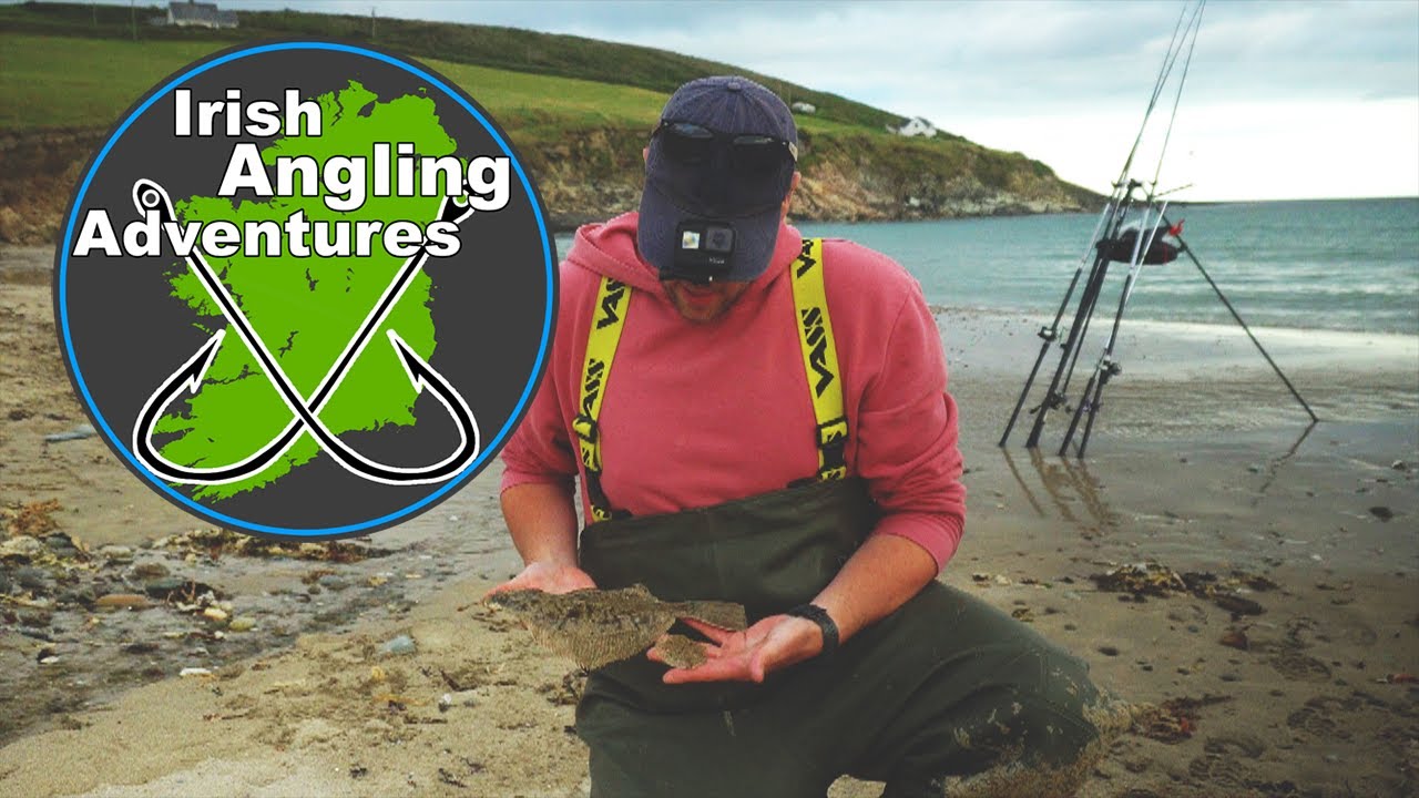 West Cork Mullet, Flatfish and Weavers