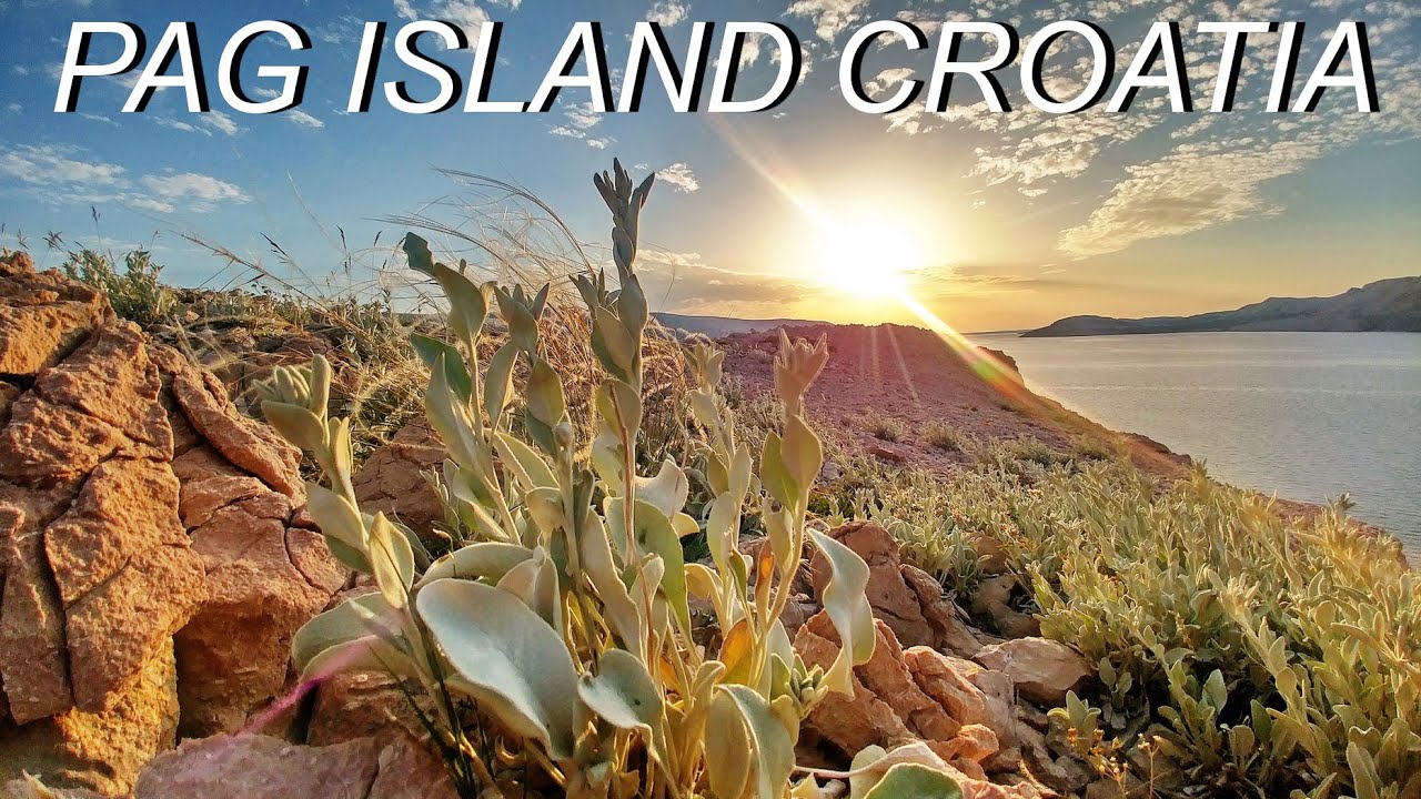PAG ISLAND - CROATIA