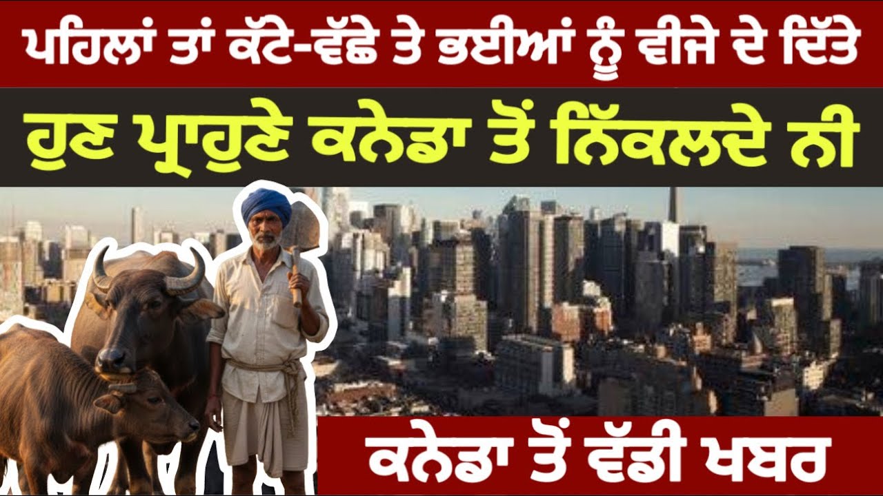 ਕਨੇਡਾ ਸਰਕਾਰ ਹੋਈ ਸਖਤ, ਧੜਾ-ਧੜ ਲੋਕਾਂ ਨੂੰ ਡਿਪੋਰਟ ਕਰਨਾ ਸ਼ੁਰੂ। Big breaking from Canada 