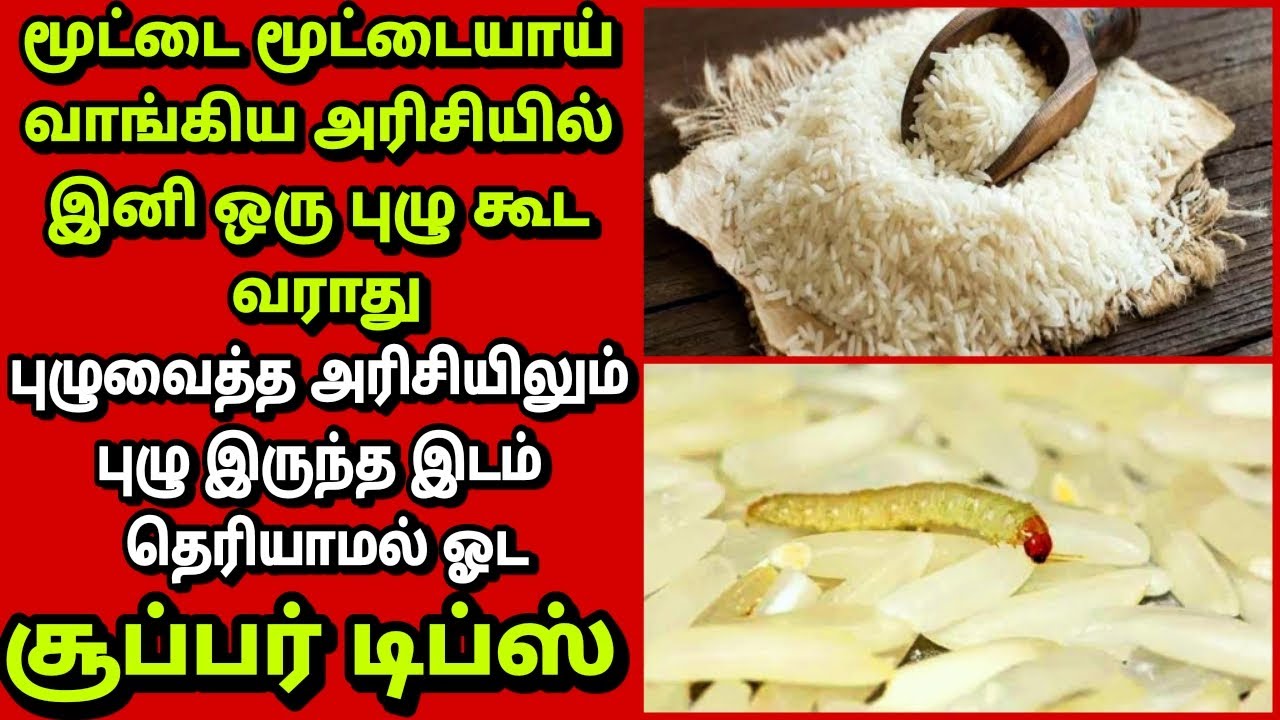 💯புழு வைத்த அரிசியில் இனி ஒரு புழு கூட தப்பிக்காது👍/how to store rice without worms| Fathu's Samayal