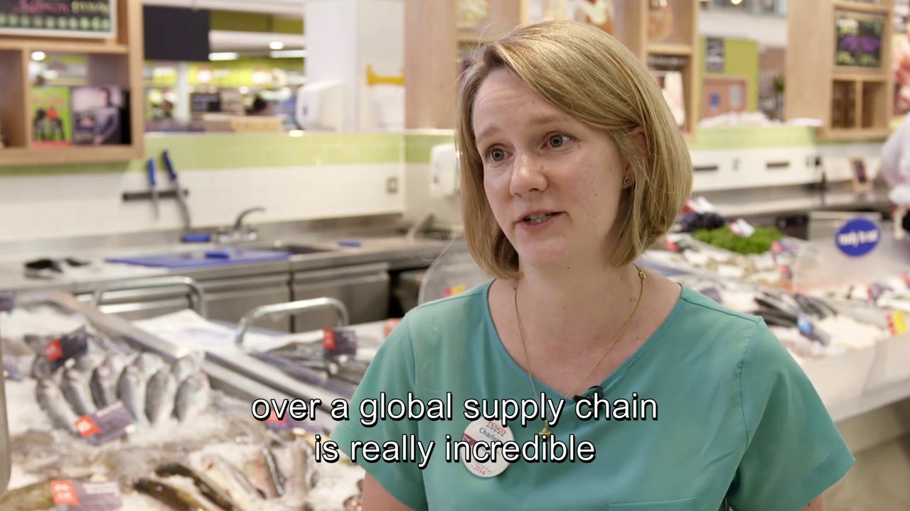 Where can a veterinary degree take you? - BVA (subtitled)