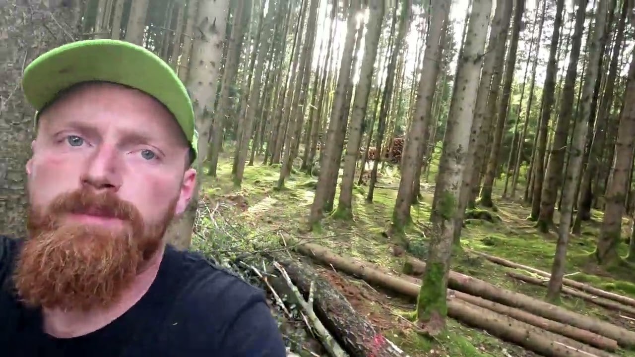 Extremer Dichtstand Vergleich vorher nachher und Harvester Durchmesser kalibrieren