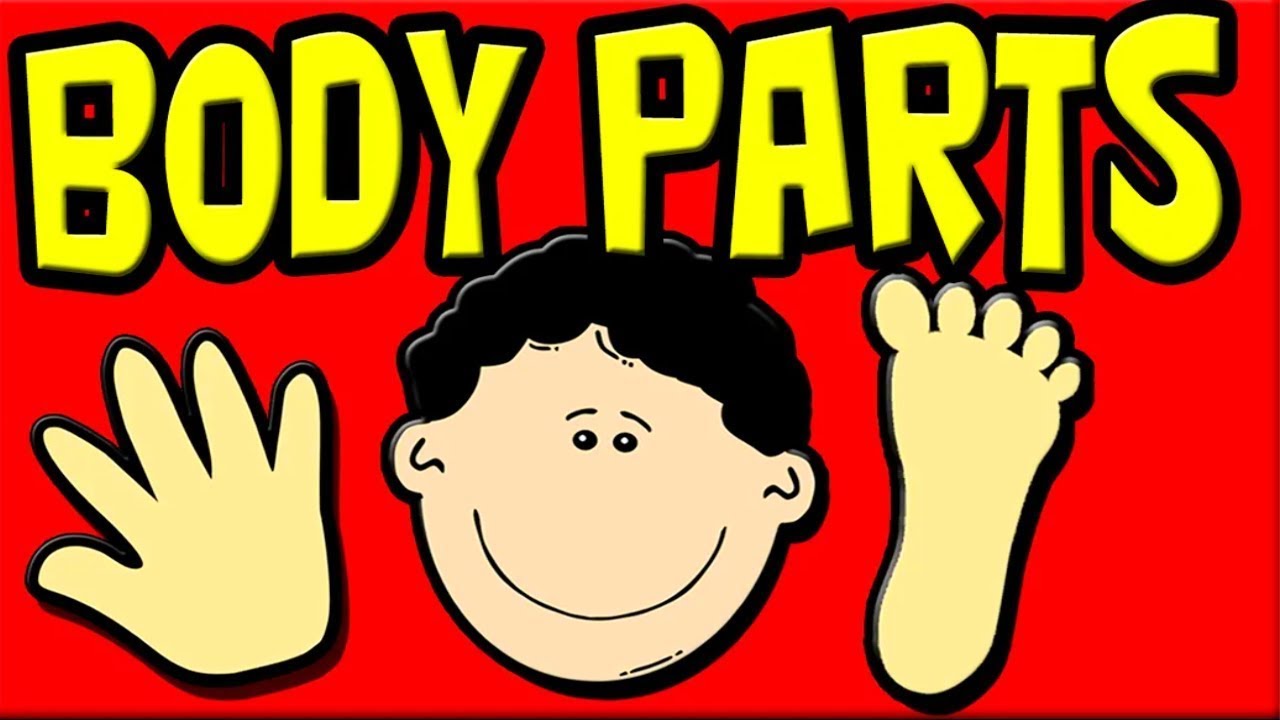 The BODY PARTS for PRESCHOOLERS! | Learning Video for Toddlers
