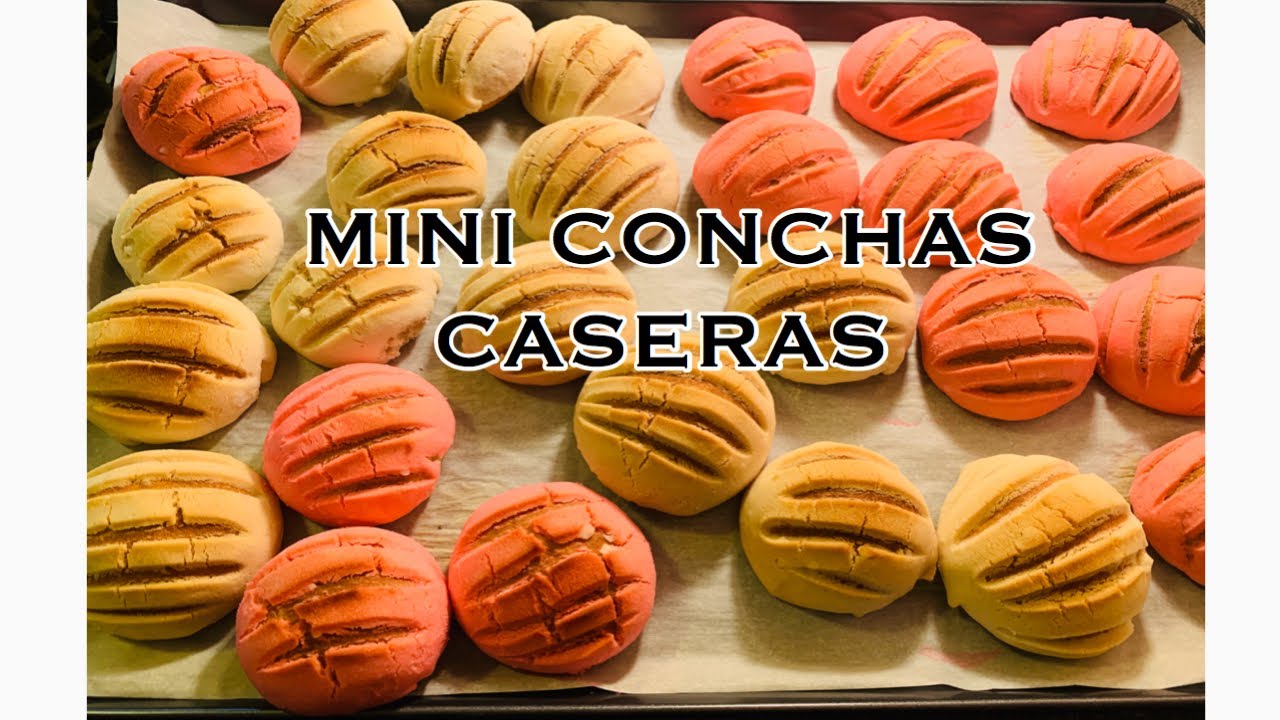 🔴 COMO HACER MINI CONCHAS CASERAS tutorial completo paso a paso