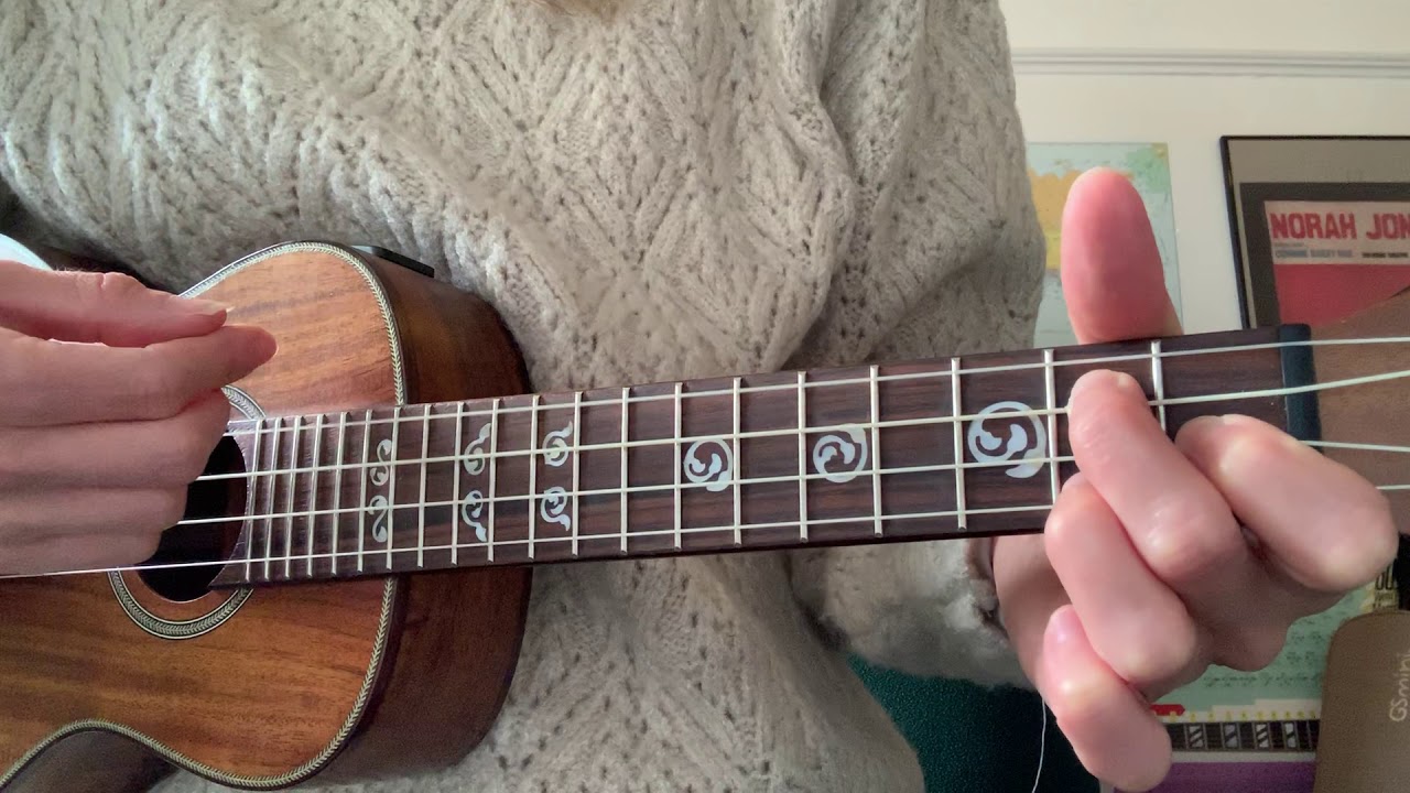 UKULELE BEGINNERS - I HAVE A DREAM
