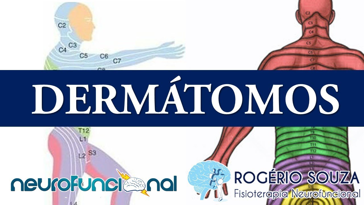 DERMÁTOMOS - Rogério Souza