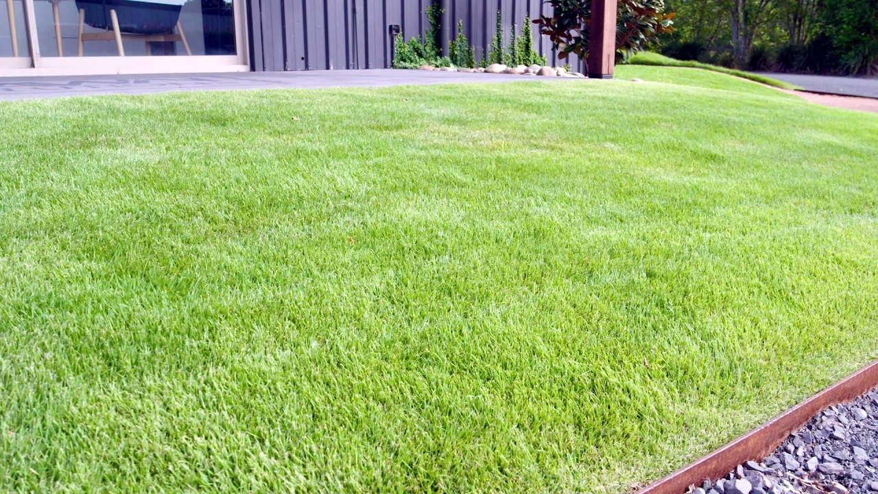 Садовые гуру - Сэр Грейндж Зойсия