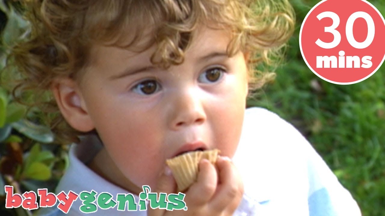 Do You Know The Muffin Man Song  + More Nursery Rhymes & Kids Songs | Baby Genius