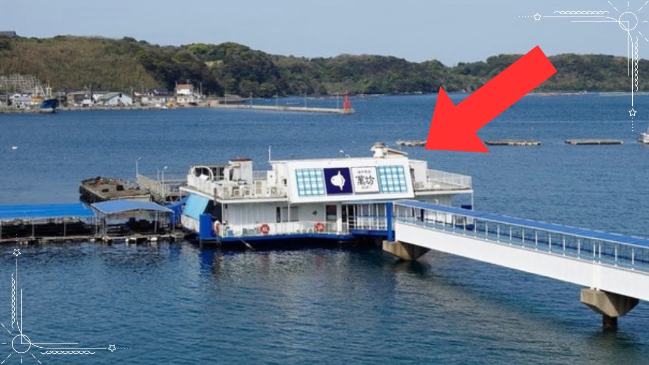 〈佐賀グルメ〉日本初の海中レストランで呼子のイカ尽くし！魚を見ながらの食事は非日常で子どもも大喜び！佐賀観光　呼子観光　Japan Saga Gourmet